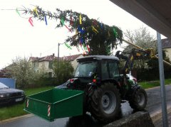 maibaum_2013009.jpg